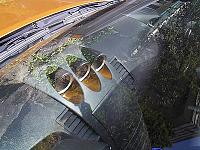 Blue Bat Guage Pods-LeMans-guage2.jpg