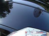 more pic-2004-new-pic-050.jpg