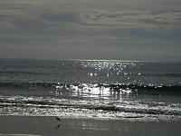 Fog On Z-beach.jpg