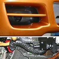New Stillen nose-1035020_f.jpg