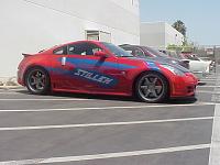 New Stillen nose-stillen49.jpg