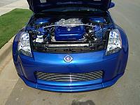 Do it yourself Blue Tinted Bulbs-im000068.jpg