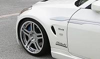 Anyone have pics of Ings fenders?-r_progressiv-spoke_c_with-ings-lx-front-fender.jpg
