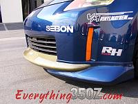 Going custom color....need suggestions-dcp_0042.jpg