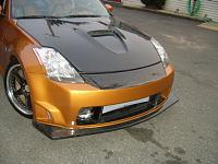 Carbon on Lemans-s3600215.jpg