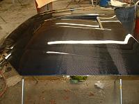 350Z Carbon Fiber and Fiberglass Headliners-cougar-s-hood.jpg