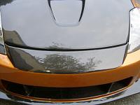 Carbon Fiber LIPs post pics here!!!-s3600207.jpg