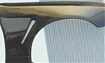 Ebay CF fenders - Octane Motorsports-sharkfender-erbundi.jpg