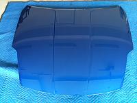 06 daytona Blue Hood-img_1307.jpg