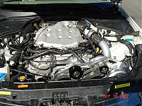 Procharger Noise Help-dsc07175.jpg