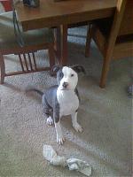 List of Vortech S/C Plans.-iphonepics-101.jpg