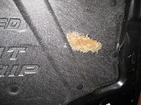 I'll damned if that happens again..-torn-hood-liner-1280.jpg