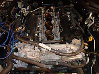 My 10 Day Build-manifolds-removed.jpg