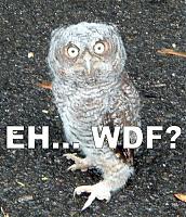 Can't bush built rods past 550hp?-owlwdf-1-.jpg