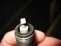 having issues-might be paranoia-update w/pictures-00005.jpg