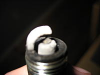 having issues-might be paranoia-update w/pictures-00003.jpg