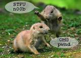 Name:  th_rodent.jpg
Views: 133
Size:  5.3 KB