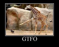 single or twin turbo-3308-20-20animals-20duck-20giraffe-20gtfo-20one-liner.jpg