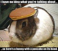 Top 10 FI Z's-bunnycake.jpg