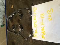 id1000-photo-222.jpg
