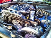 Vortech V3 build-engine.jpg