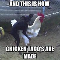 Sfr takeover-chicken-tacos.jpg