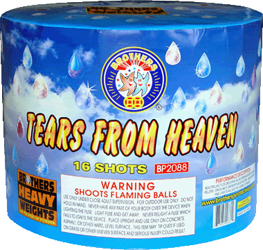 Name:  TearsFromHeaven-Brothers.gif
Views: 26
Size:  79.0 KB