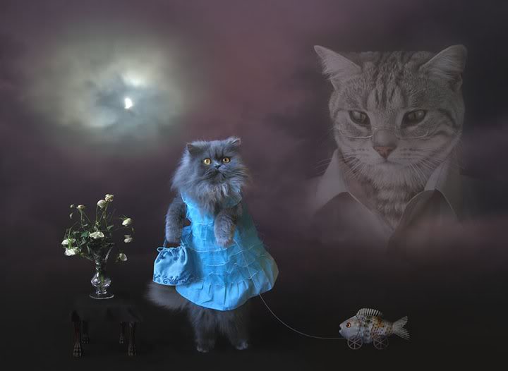 Name: Best-Picture-On-The-Internet.jpg
Views: 422
Size: 27.2 KB