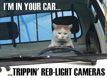 Name: cat-driving-truck.jpg
Views: 455
Size: 30.7 KB