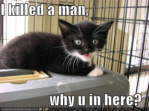 Name: funny-pictures-kitten-cage-killed-a-man.jpg
Views: 473
Size: 37.6 KB