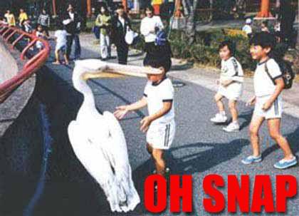 Name: oh_snap.jpg
Views: 57
Size: 24.0 KB