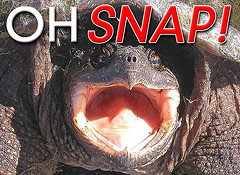 Name:  ohsnap.png
Views: 68
Size:  107.3 KB