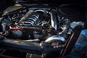Supercharger Dyno Numbers-eeumx6v.jpg