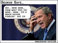PE TT: In-Car Video of some action.-bush.jpg