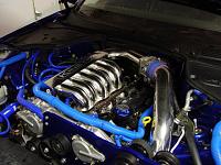 What Ive been up to!-picture-1134.jpg