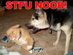 Turbo an Automatic?-stfunoob24ey.jpg