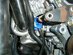 check these pretty little things out..  gettin it crunk soon!-s3600109.jpg
