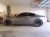 Few pics-picture-0181.jpg