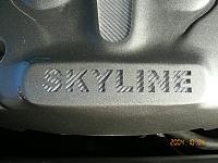 my custom made engine cover...-picture-459.jpg