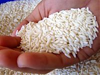 what does "rasp" sound like?-sticky-rice-grains.jpg