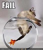 Torque guru-cat-fail-1-.jpg
