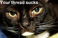 Torque guru-thread-sucks.jpg