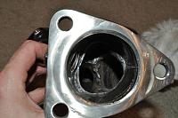 number one headers-dsc_0053-resize.jpg