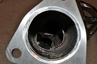 number one headers-dsc_0054-resize.jpg