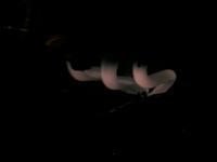 GLOWING HEADER SHot-xerd-002.jpg
