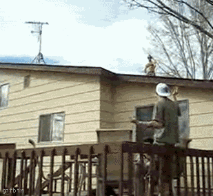 Name:  2rwtdmg.gif
Views: 562
Size:  1.77 MB