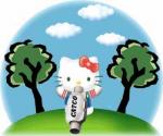 Photos: Kinetix high-flow cats-thinksimplehkcatco.jpg