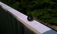 Real Carbon Fiber shift knob-imag0023.jpg