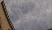 Chip in Hood of New Z-closest2.jpg