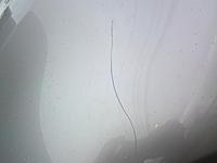 Scratch-dsc00295.jpg